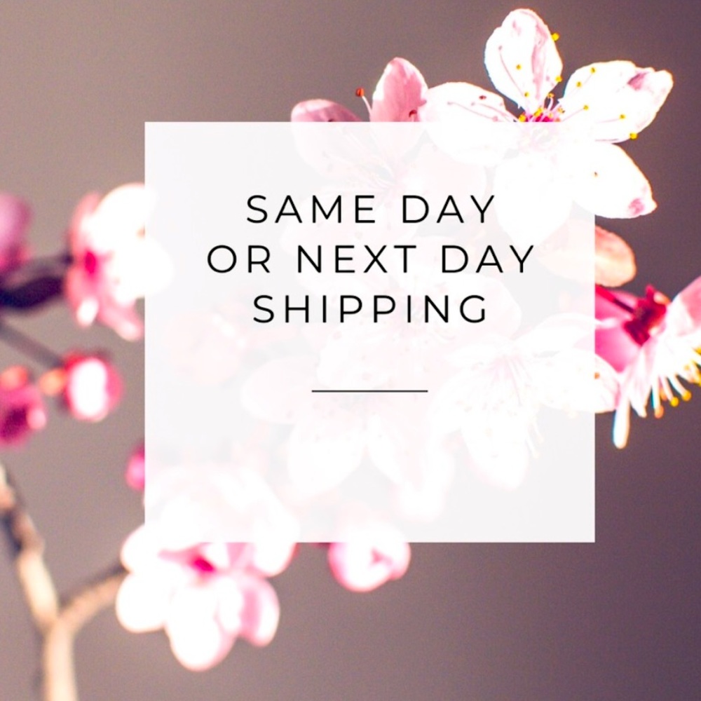 ✨✨FAST SHIPPING!!✨✨